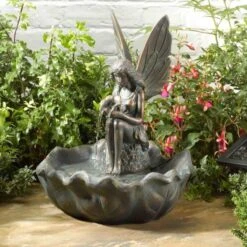 Fairy Leaf Fountain - Alton Garden Centre