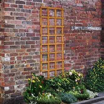 Forest - Heavy Duty Trellis 183 X 61cm - Alton Garden Centre 3 Forest - Heavy Duty Trellis 183 X 61cm - Alton Garden Centre