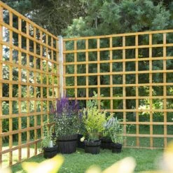 Forest - Heavy Duty Trellis 183 X 183cm - Alton Garden Centre