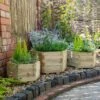 Forest - York Hexagonal Planter Set Of 3 Small - Alton Garden Centre -Konstsmidee Shop MFD84 4 1 1024x683 1