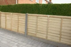 Forest - Pressure Treated Superlap Fence Panel 6ft X 3ft (1.83m X 0.91m) - Alton Garden Centre
