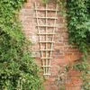 Forest - Traditional Fan Trellis 180 X 60cm - Alton Garden Centre -Konstsmidee Shop TRADF62V3 1 1