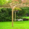 Forest - Ultima Pergola 3.6m - Alton Garden Centre -Konstsmidee Shop UPK02 1 1024x683 1