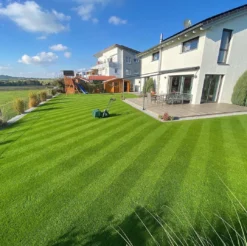 Allett Liberty 43 17" Battery Cylinder Lawnmower - Alton Garden Centre -Konstsmidee Shop image cb239777 fd86 4033 a7c8 87eb0fda64ac 1024x1024@2x