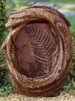 Forest Fern - Alton Garden Centre