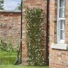 Smart Solar Maple Leaf 180 X 90cm Expanding Trellis - Alton Garden Centre -Konstsmidee Shop products 939591 5045081 2 3 600 1