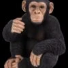 Vivid Arts Sitting Chimpanzee… - Alton Garden Centre -Konstsmidee Shop products chimp