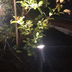 Ellumiere Black Spotlight - 2w - Small - Alton Garden Centre