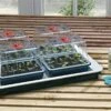 4 Top Automatic Temperature Control Electric Propagator 50w - Alton Garden Centre -Konstsmidee Shop products g163