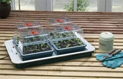 4 Top Automatic Temperature Control Electric Propagator 50w - Alton Garden Centre