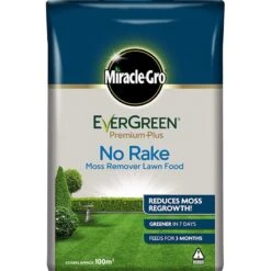 Evergreen Premium Plus No Rake 100m2 - Alton Garden Centre