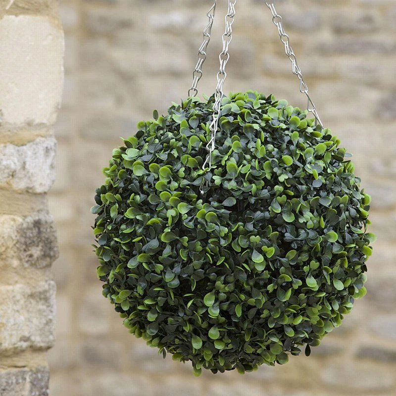 Smart Garden: Boxwood Topiary Ball 30cm - Alton Garden Centre 3 Smart Garden: Boxwood Topiary Ball 30cm - Alton Garden Centre